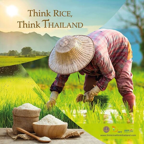 Think Grain Rice Think Rice Think Thailand - Rasa Malaysia