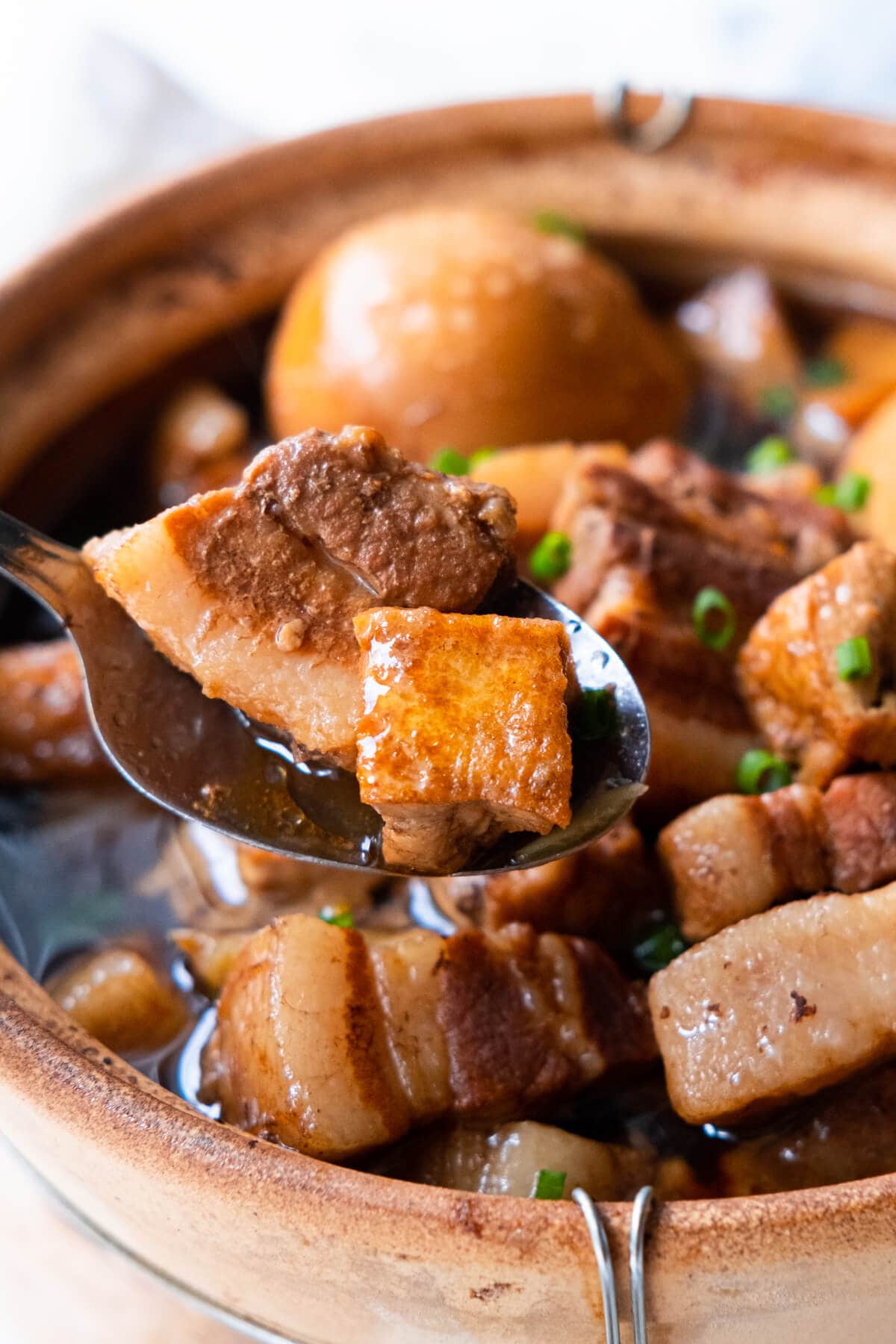 Braised pork belly and fried tofu in a spoon. 