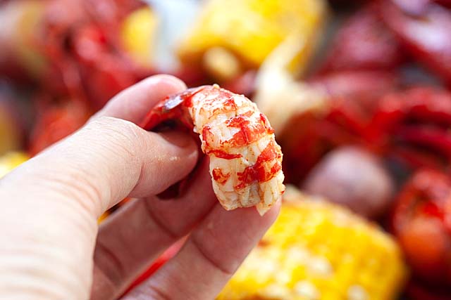 A peeled crawfish tail ready to be eaten.