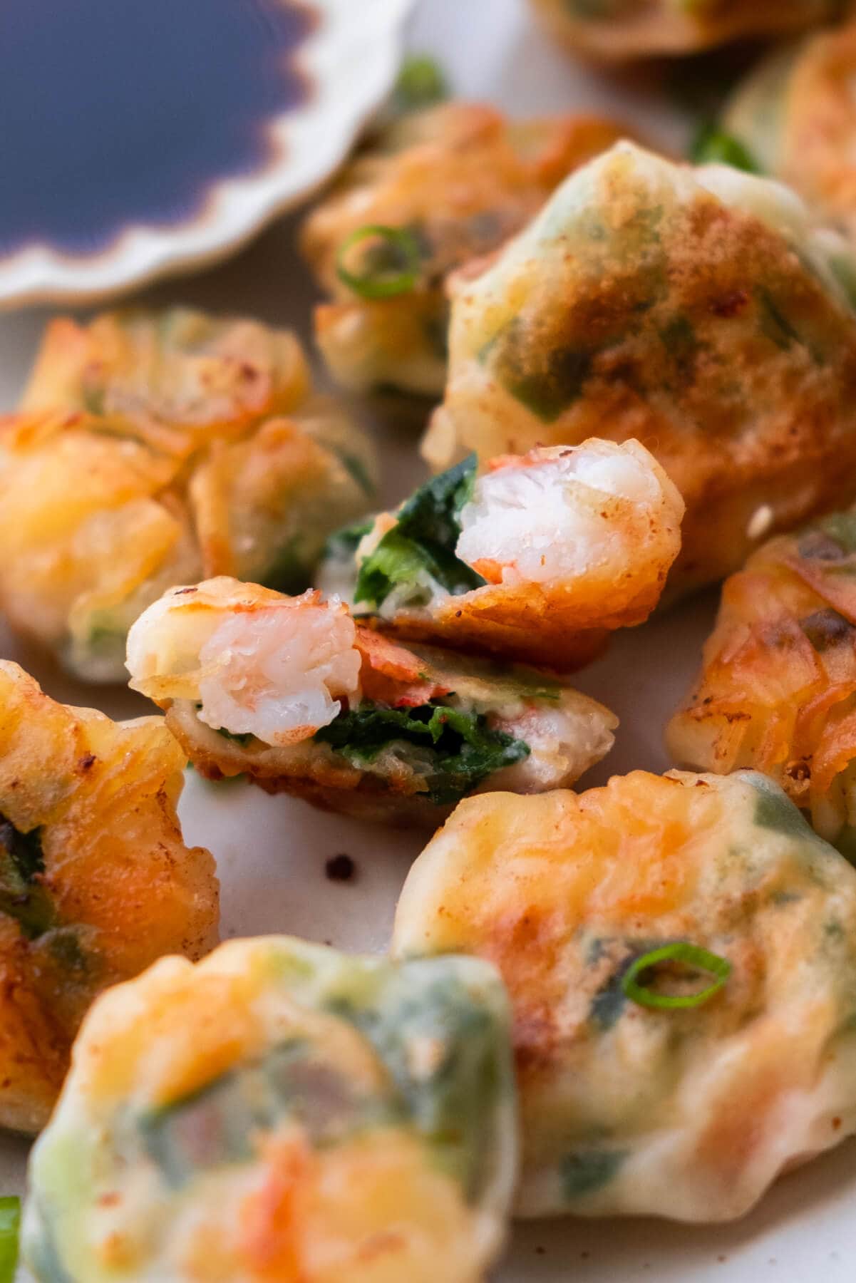 Pan fried chive and shrimp dumpling served on a plate. 