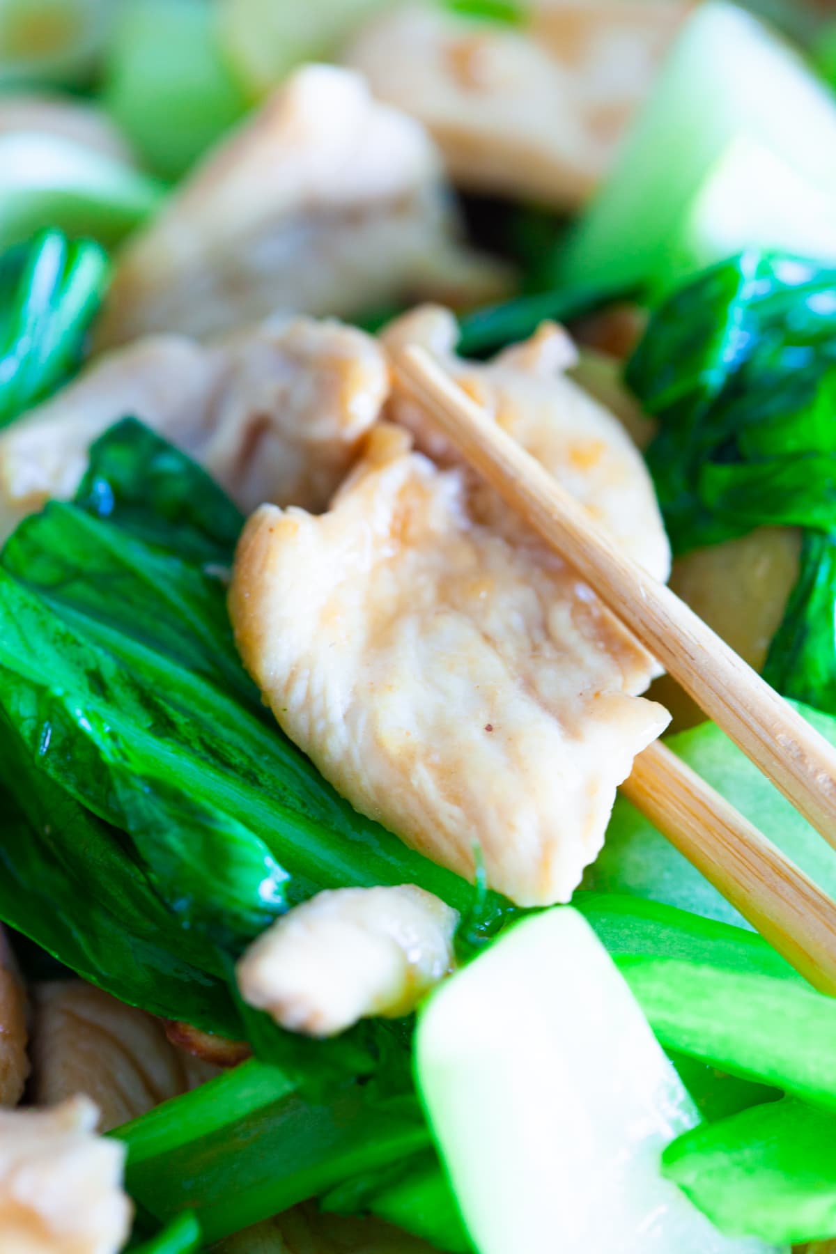 Bok choy chicken, ready to serve.