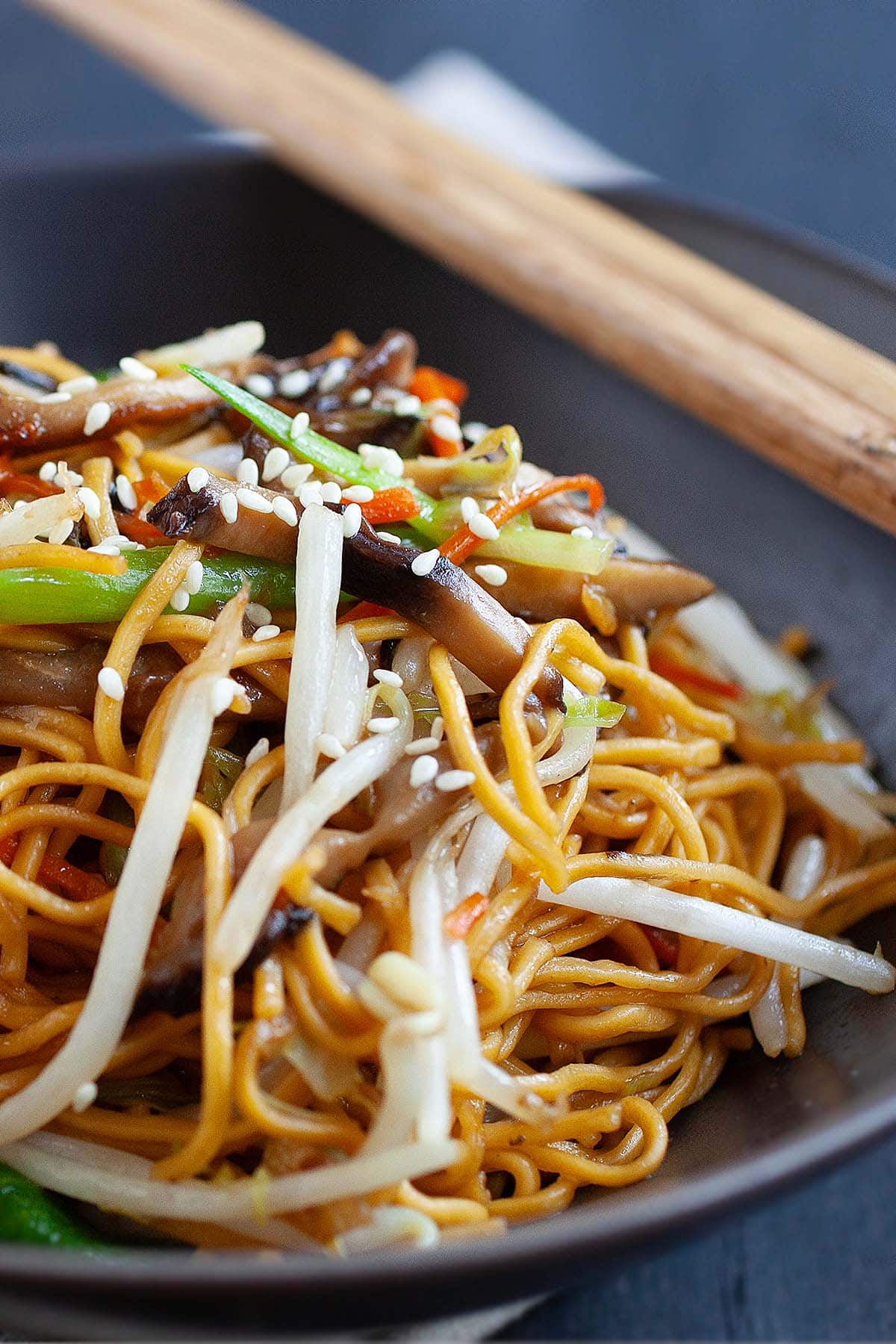 Bowl of Chinese mixed vegetable chow mein noodles stir fry. 