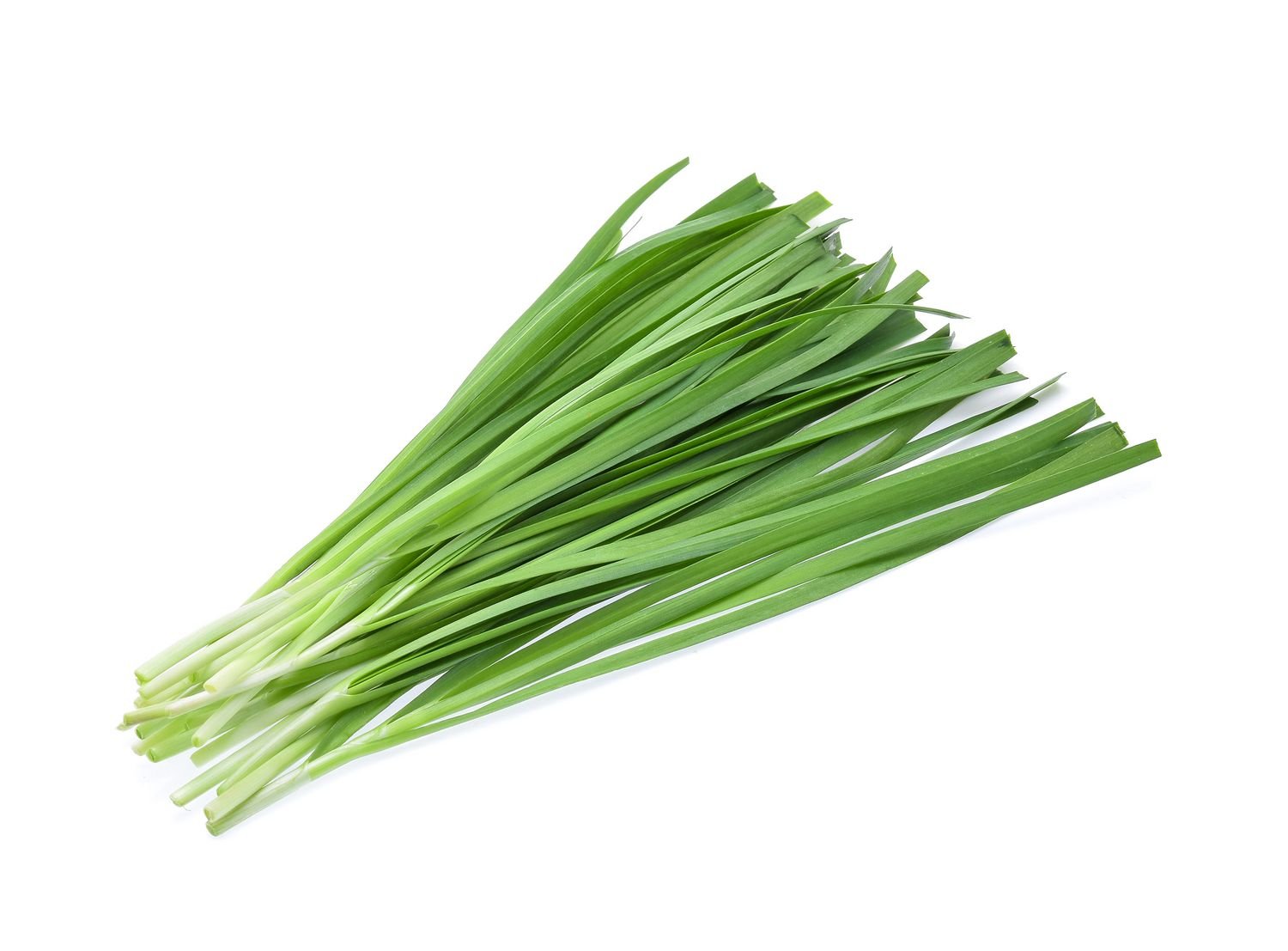 Chinese Chives (Garlic Chives)