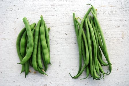 Picture of green beans and haricots verts side-by-side comparison.