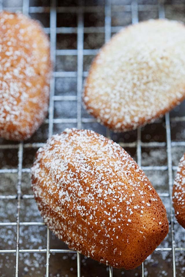 French madeleine are petite sweet cakes. 