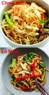 Chow Mein vs Lo Mein (Learn the Differences!) - Rasa Malaysia