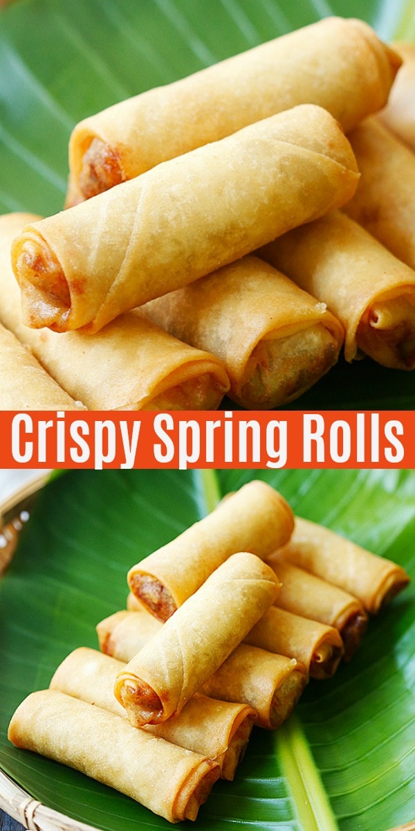 are wonton and spring roll wrappers the same