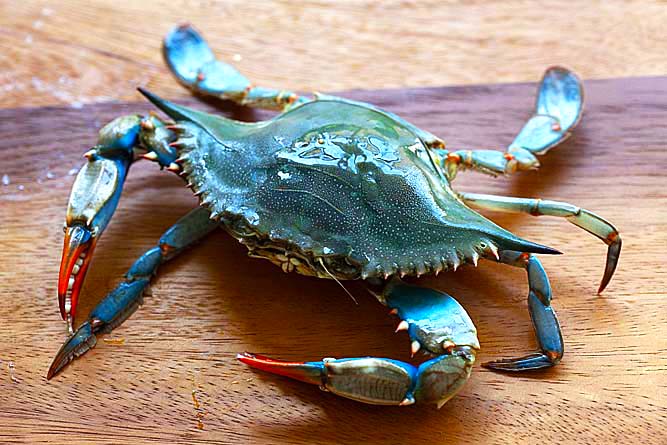 A female blue crab on a cutting board.