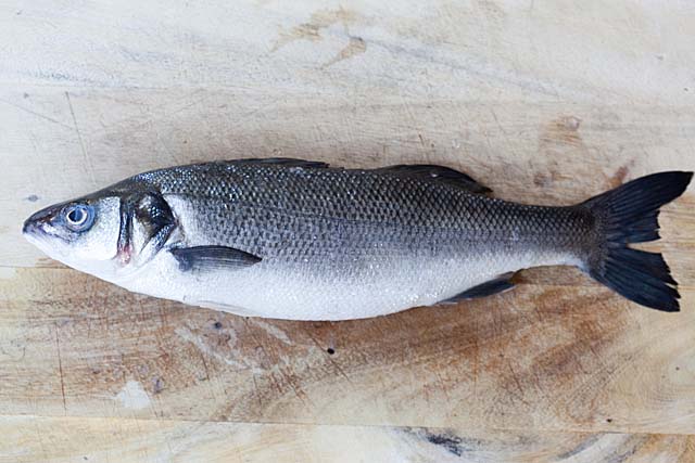 What Is Branzino?