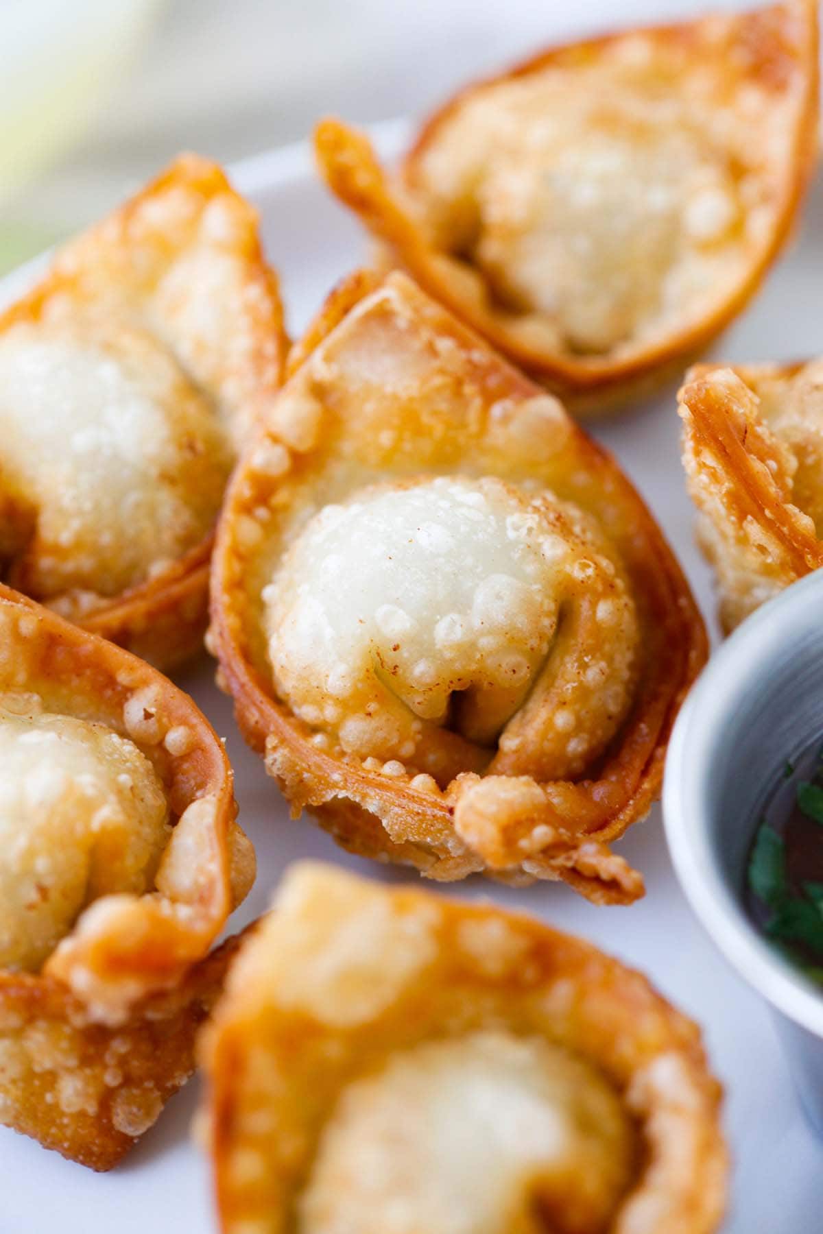 Fried wontons – BEST wontons recipe! Homemade, crispy, simple ingredients. Learn how to make wontons with this easy Chinese recipe | rasamalaysia.com