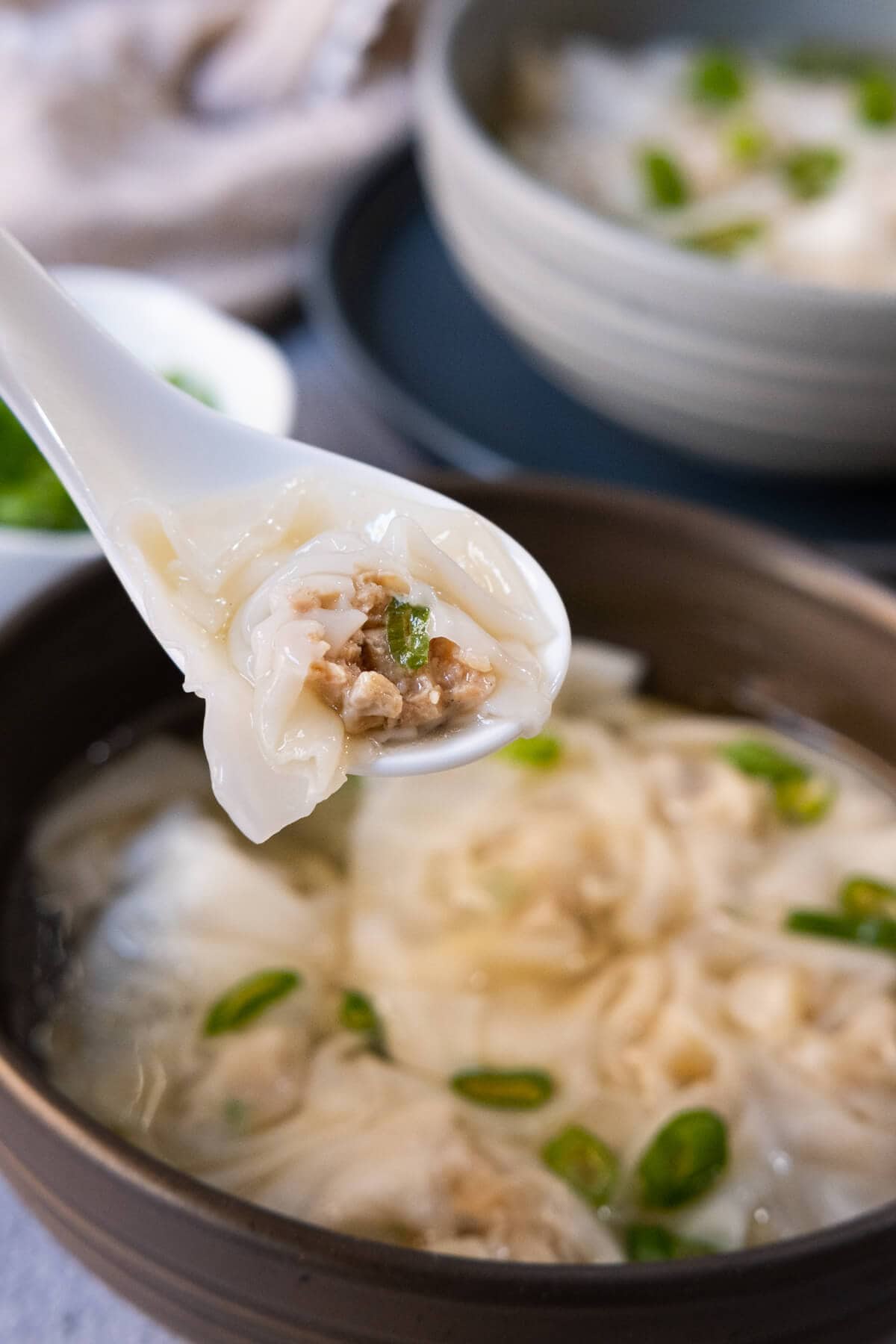 Close up of a chicken wonton with ground chicken filling.