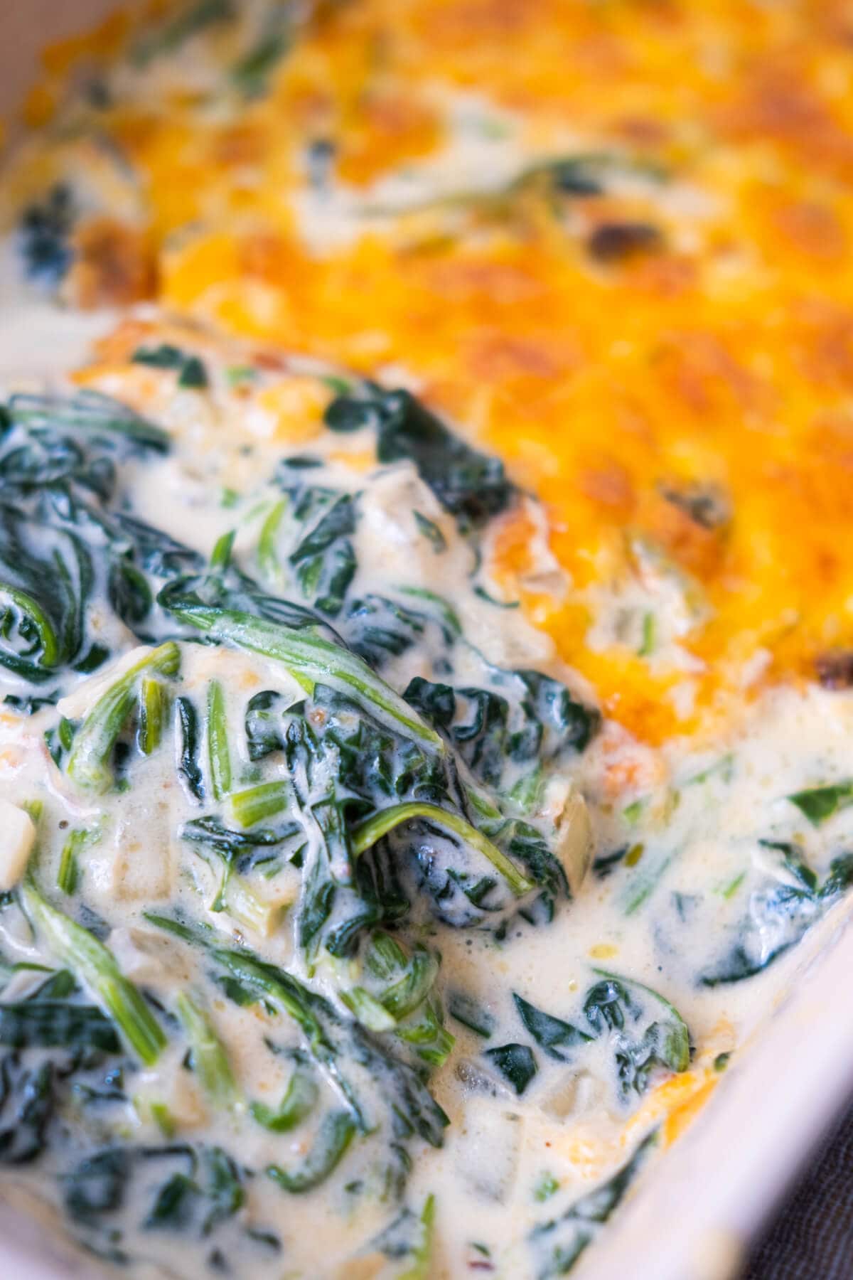 Spinach with cream sauce and baked cheese on top.