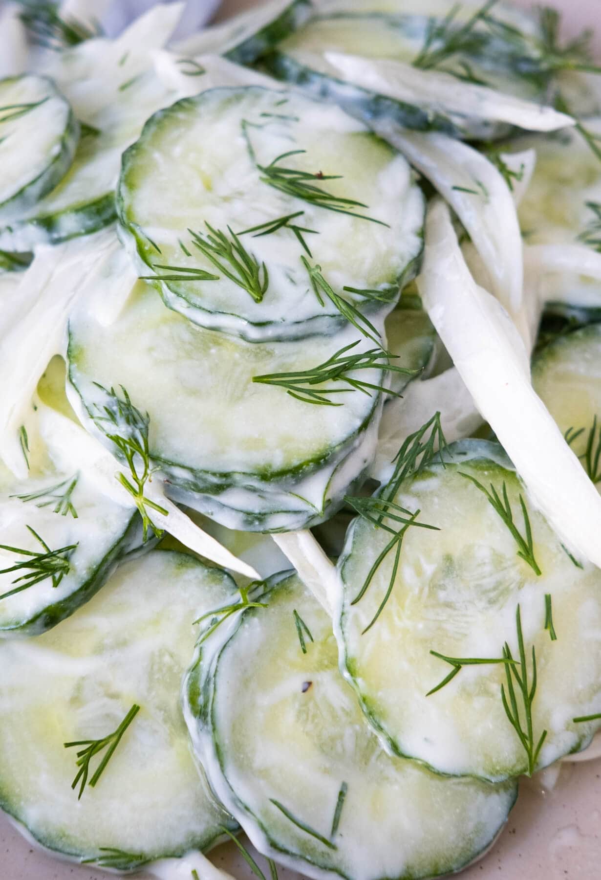 Thin slices of creamy cucumber salad with fresh chopped dill sprinkled on top.