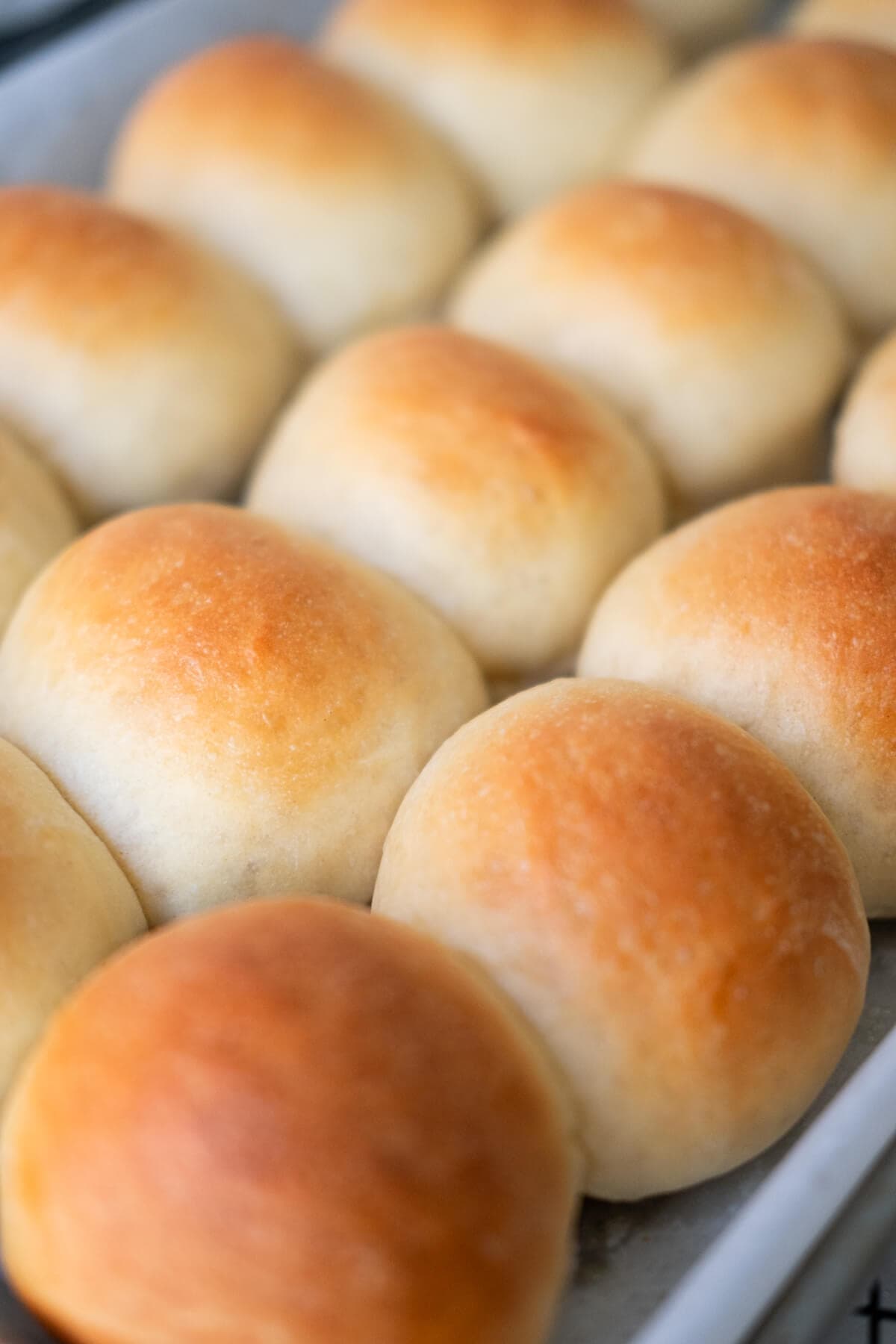 Delicious, soft, buttery round buns with crispy golden brown exterior. 