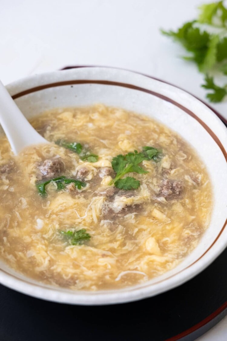 West Lake Beef Soup - Rasa Malaysia