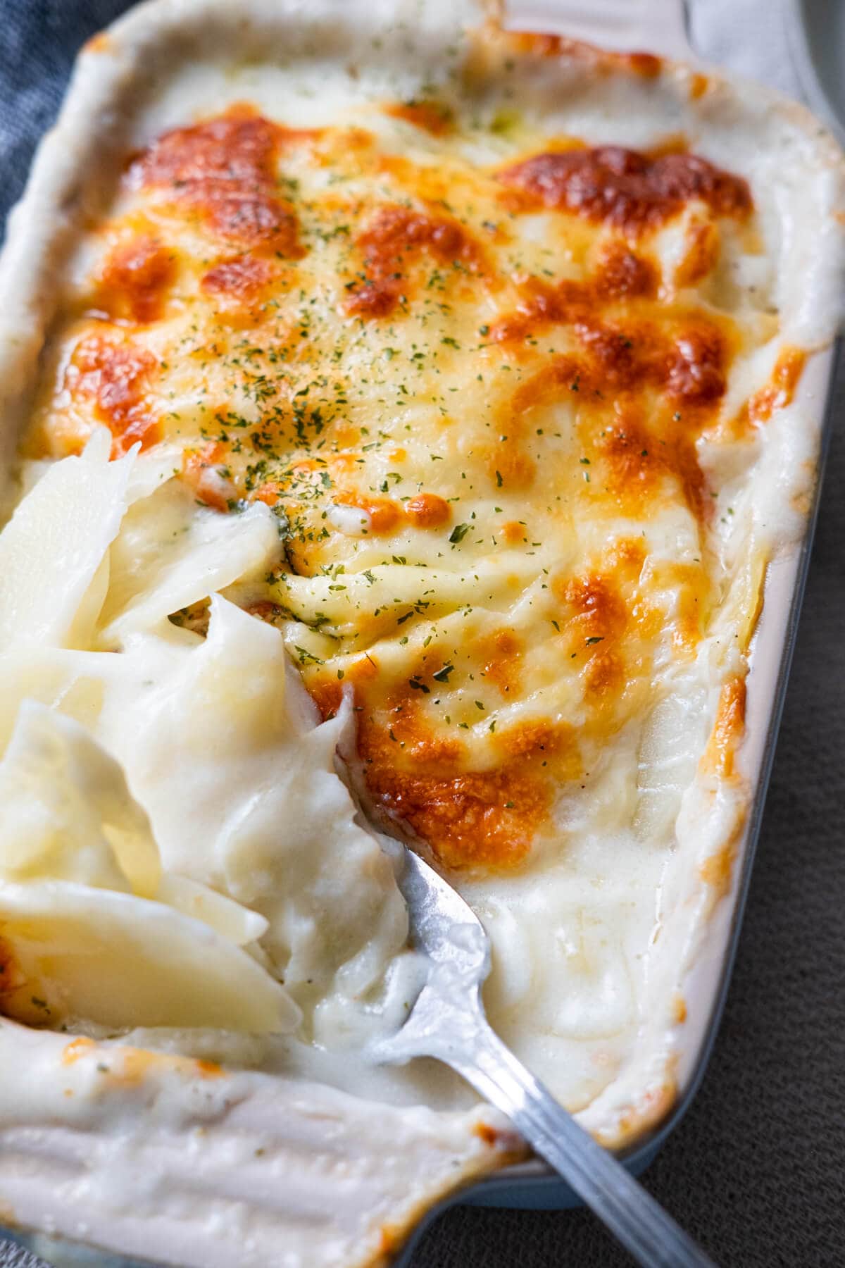 Easy potato grain in a creamy white sauce and topped with melting cheese. 