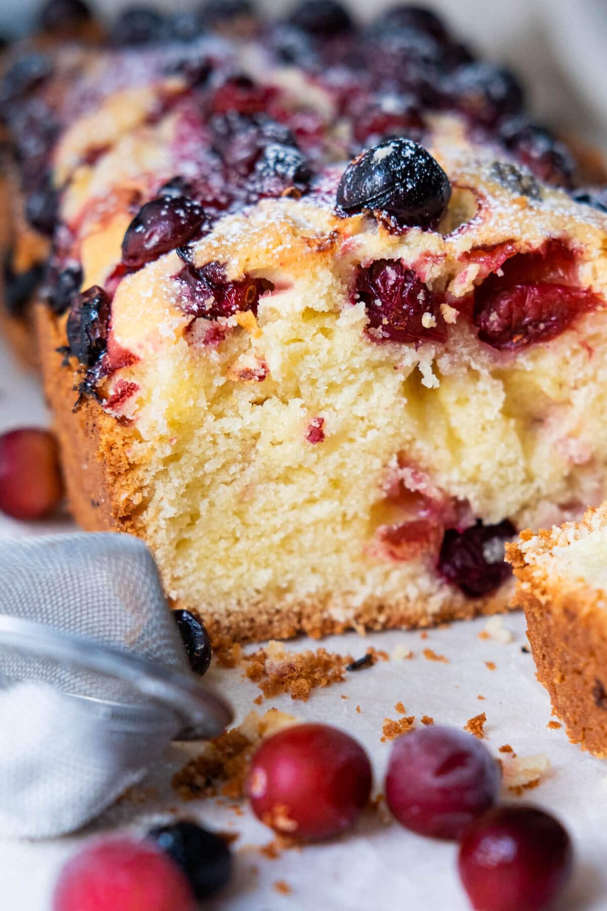 A close up shot of cranberry cake revealing sweet dried red cranberries in between the soft and moist texture. 