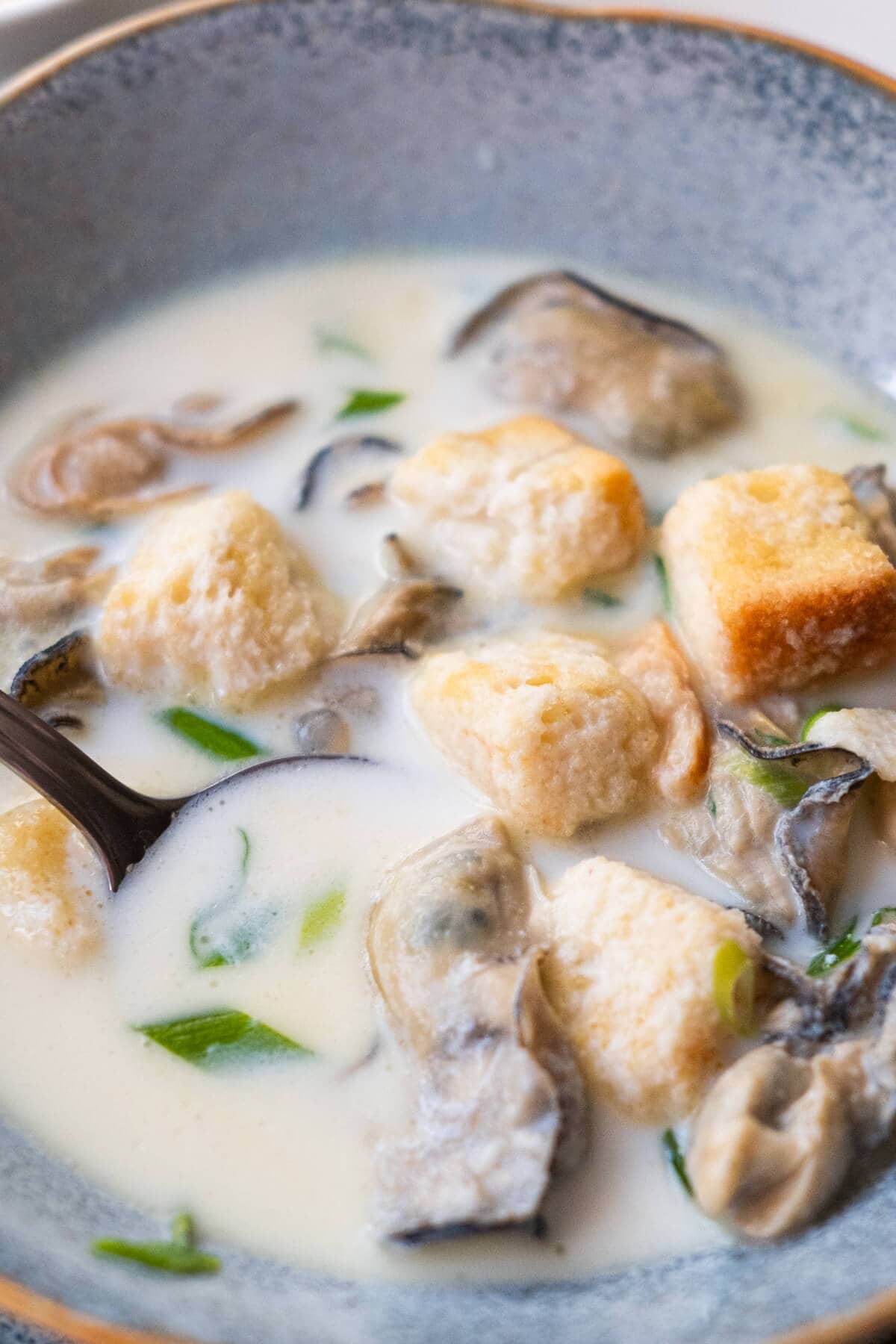 Close up of firm oysters, croutons and scallion in a bowl of milky broth. 