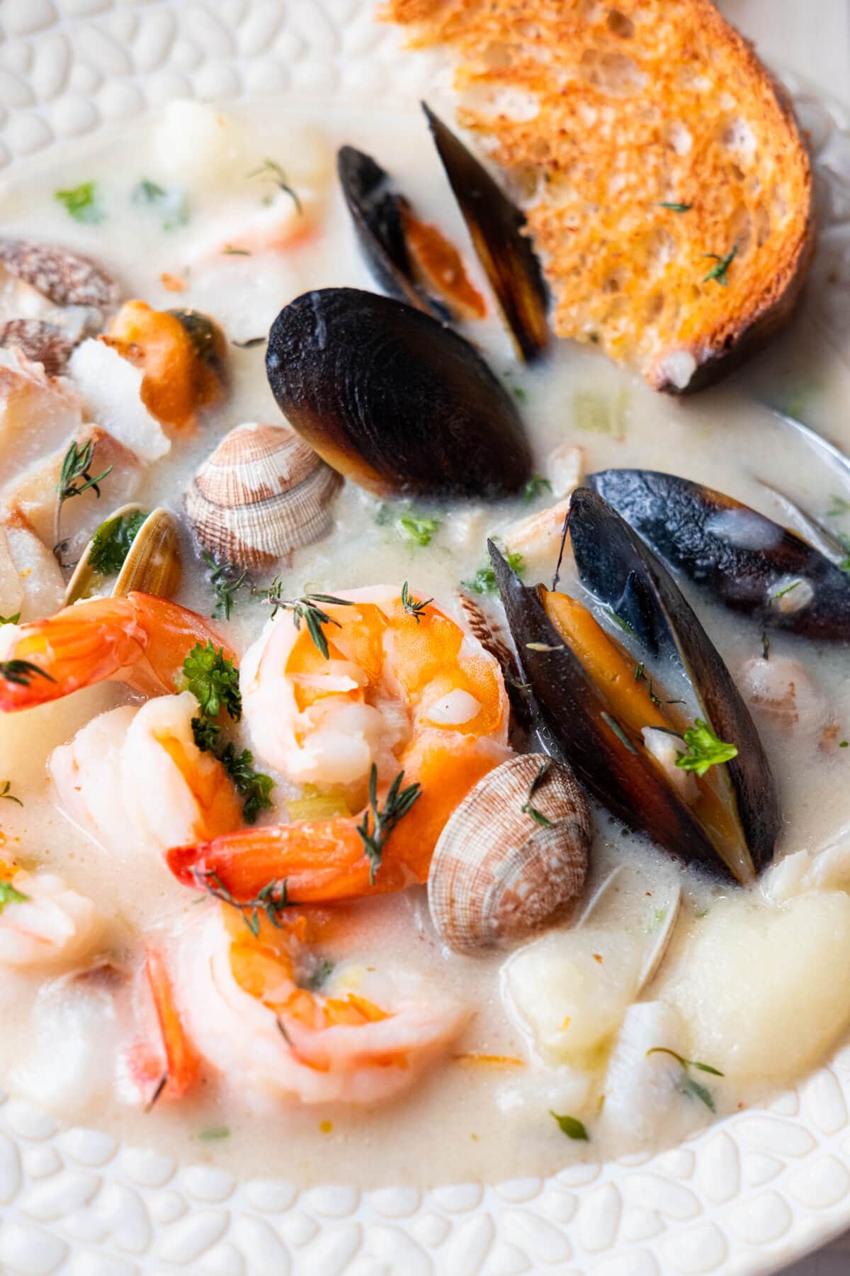 Close up on succulent prawns, clams, and mussels in a white creamy soup. 