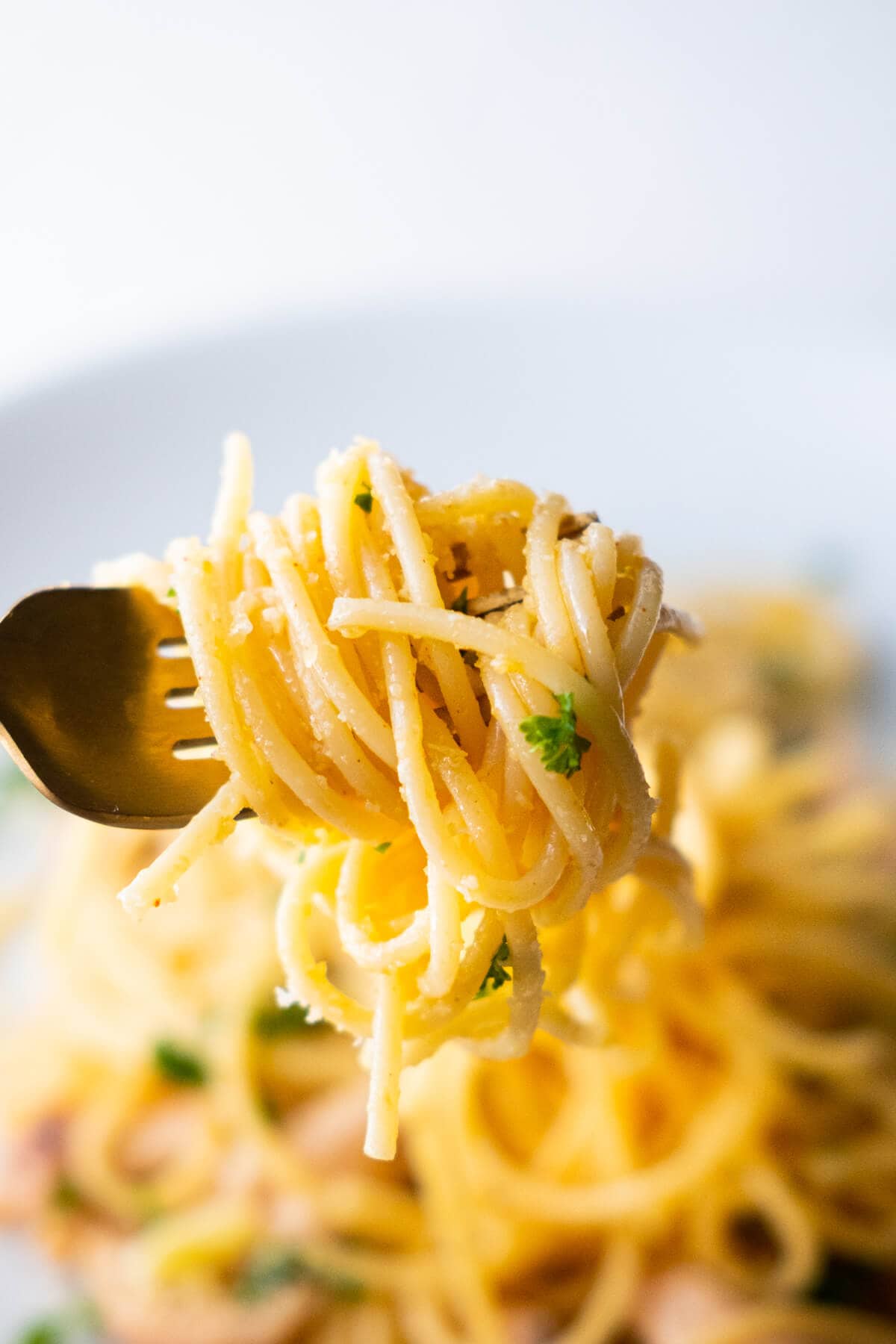Close up on parmesan covered pasta and picked with fork. 