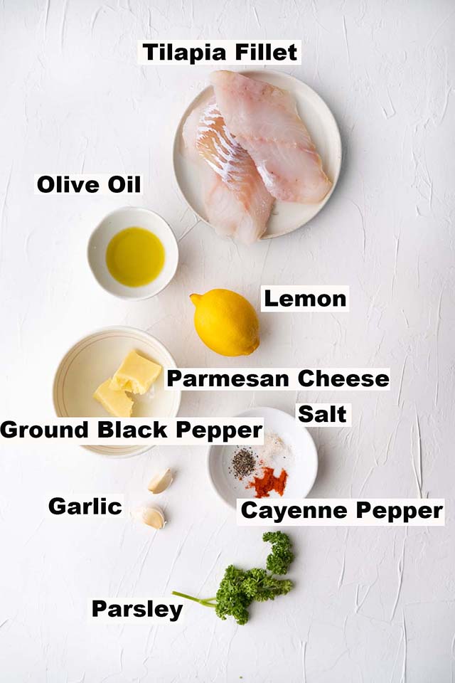 Ingredients for baked tilapia such as tilapia fillets, olive oil, lemon, parmesan cheese, ground black pepper, salt, cayenne pepper, garlic and parsley.