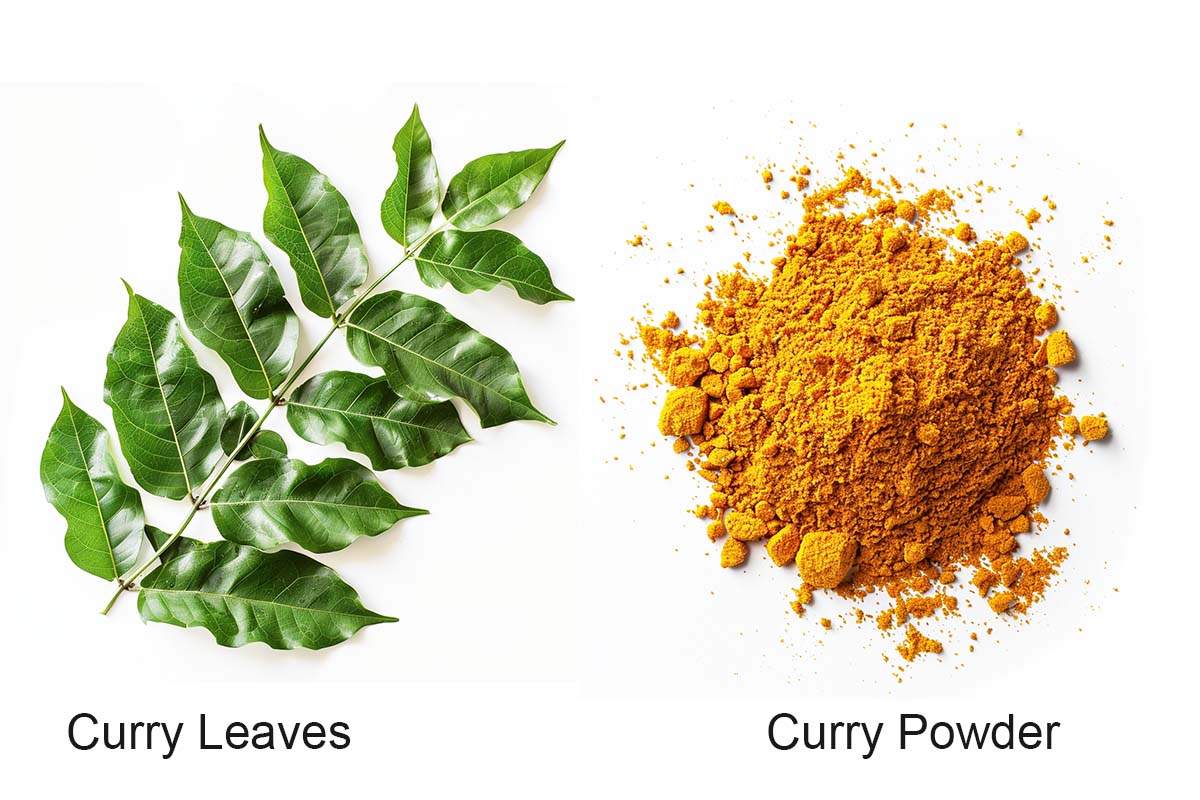 This image shows the Secret Ingredients for the Malaysian Chicken Curry Recipe such as Curry Leaves and Curry Powder.