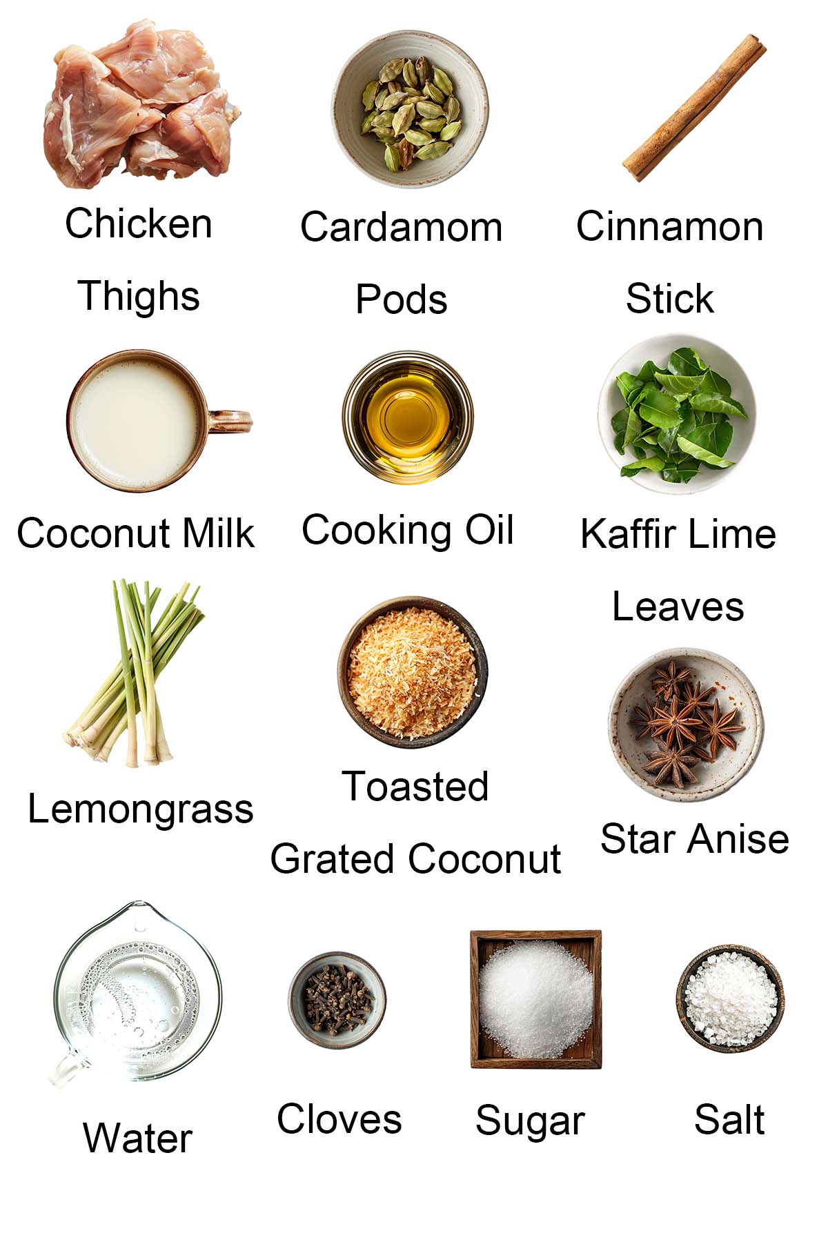 Ingredients for chicken rendang. 