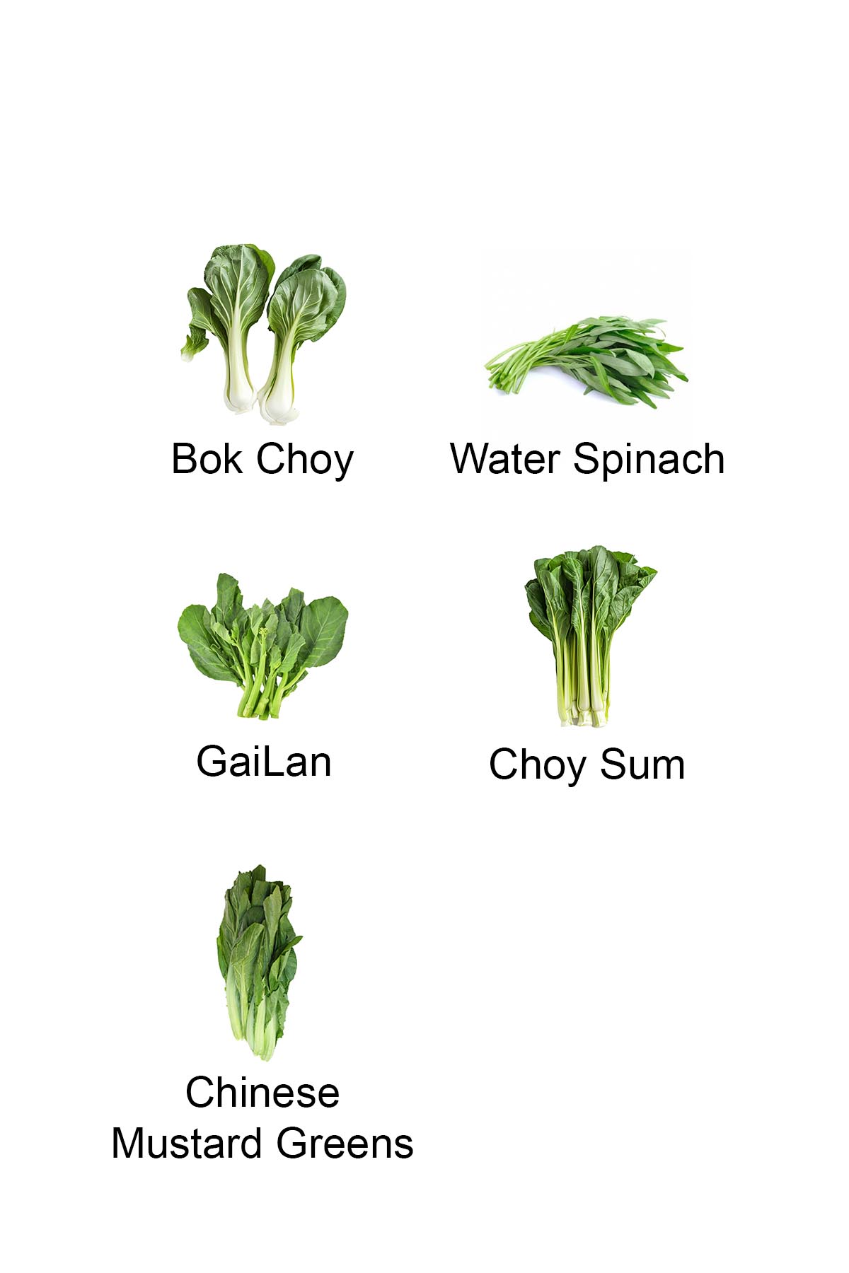 Chinese greens vegetables: Bok Choy, Gailan, Water Spinach, Choy Sum, and Chinese Mustard Greens.