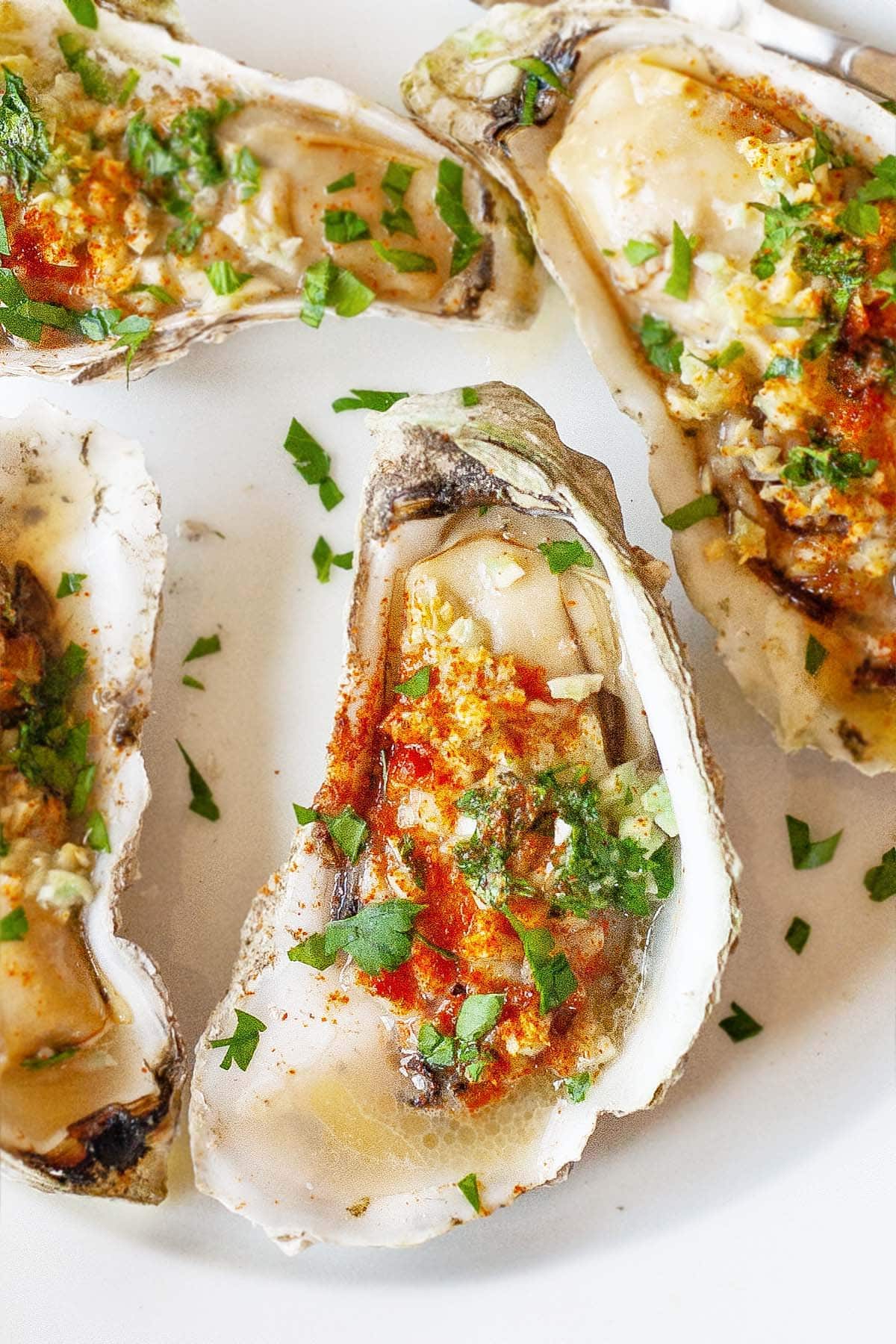 Juicy grilled oysters on the half shell topped with garlic and parsley. 