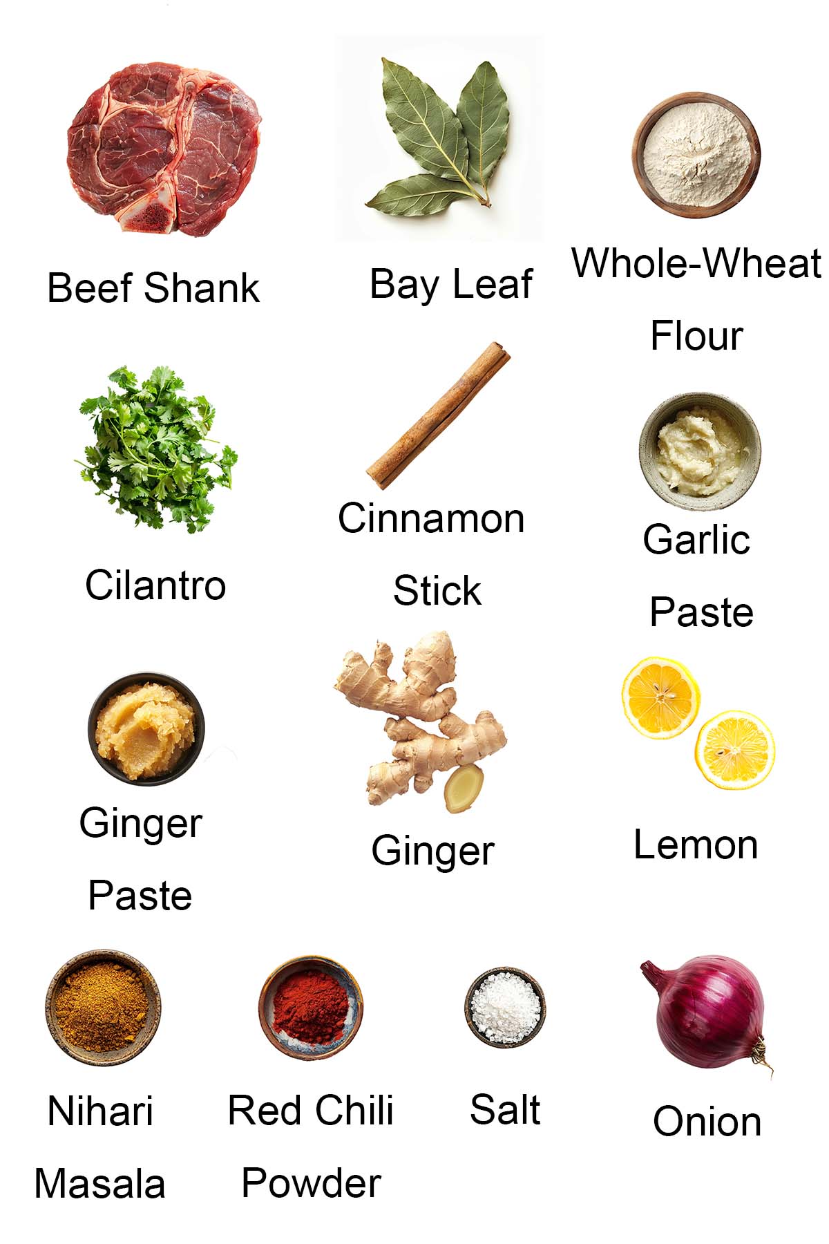 Ingredients for Indian beef stew (nihari). 