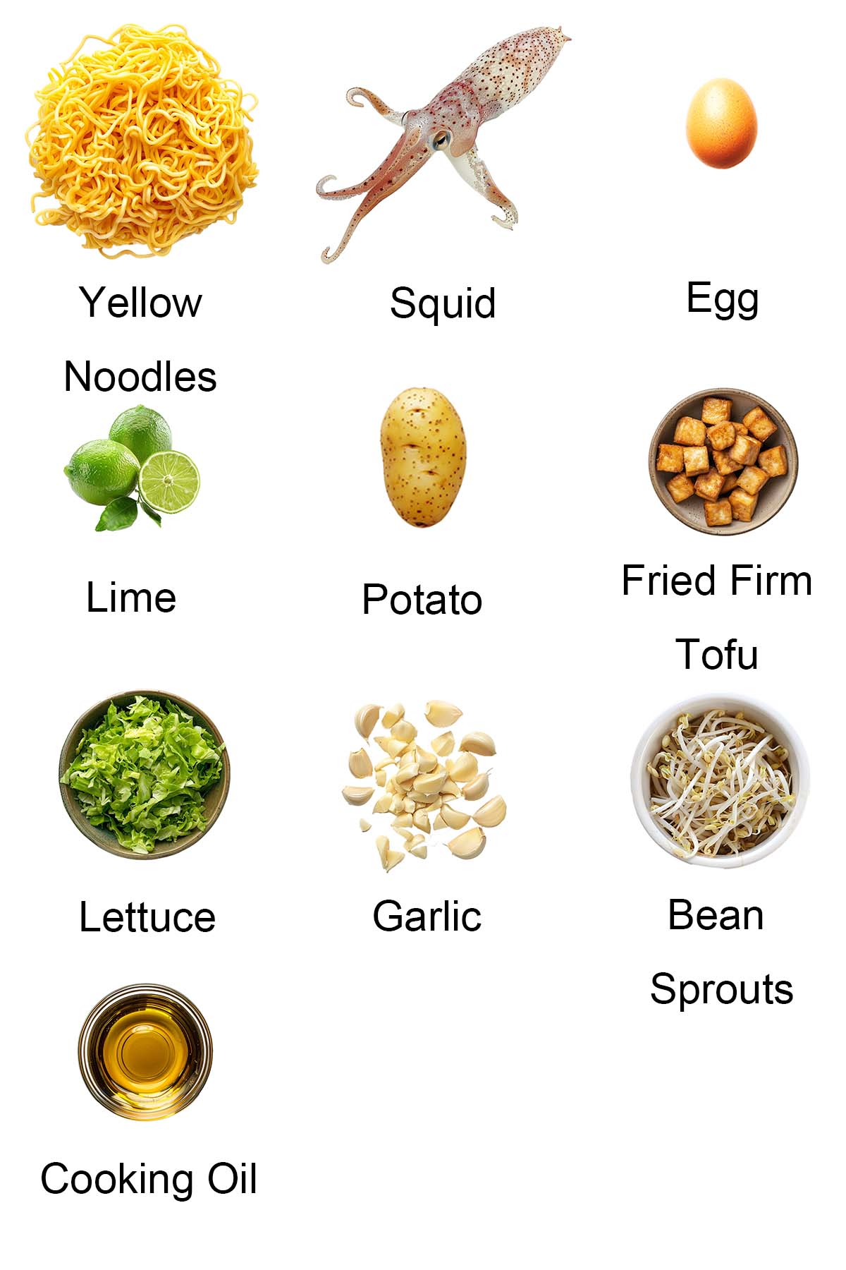 Ingredients for Indian mee goreng. 