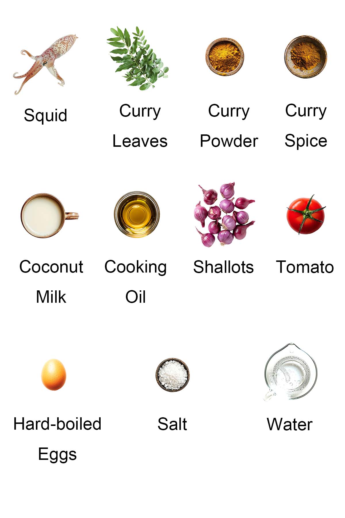 Ingredients for squid curry. 
