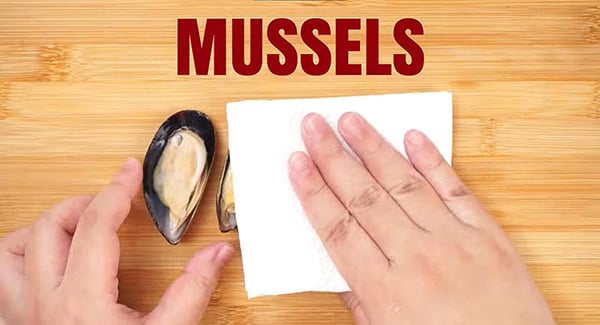 Green mussels being patted dry with a paper towel.