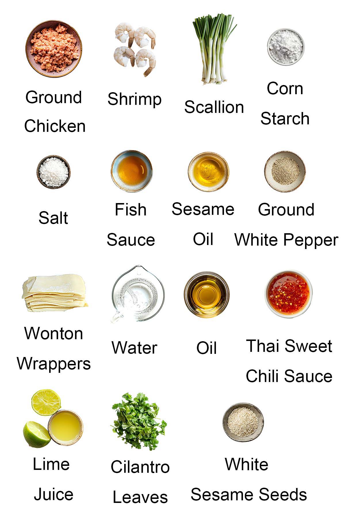 Ingredients for chicken wontons. 