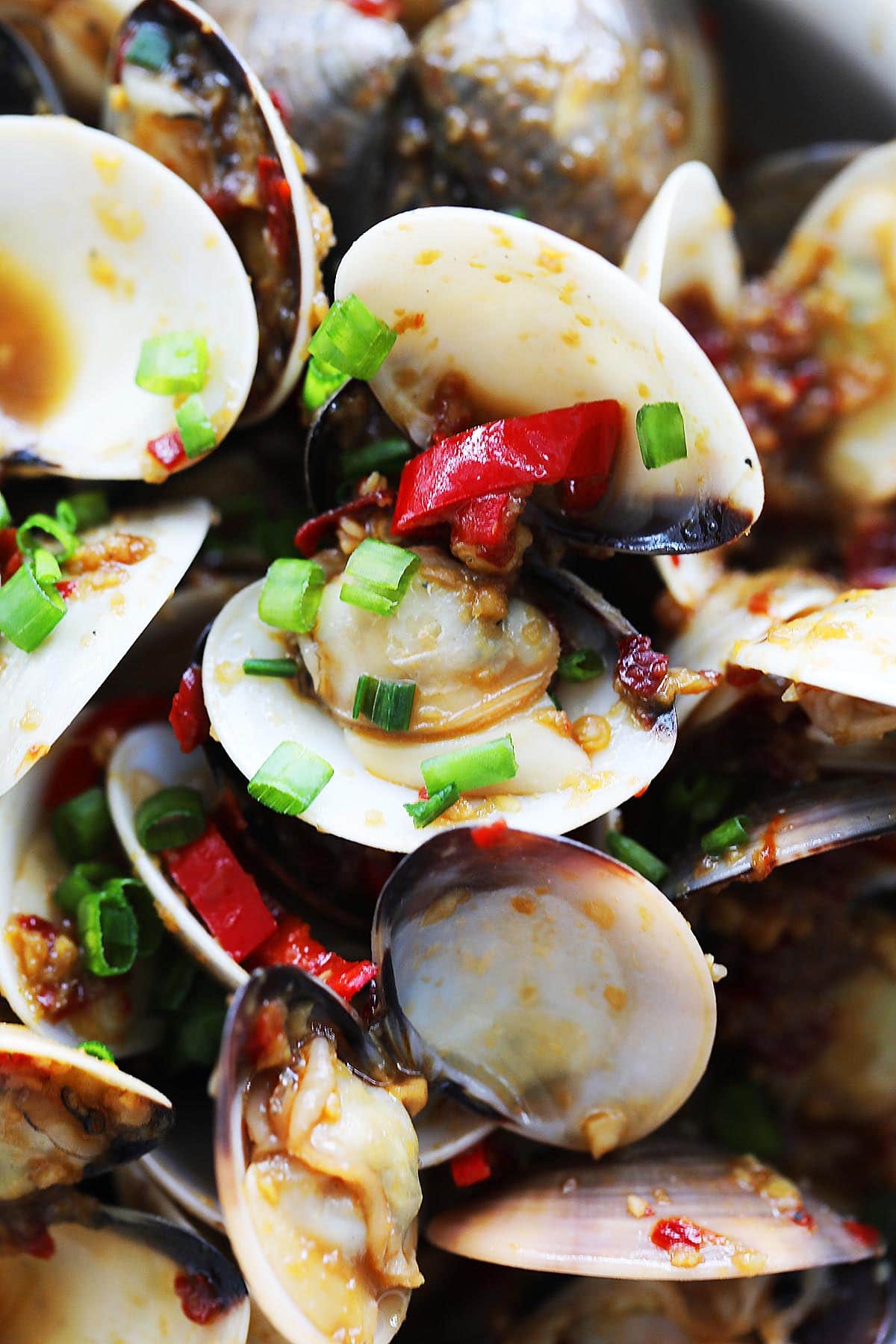 Spiced clams with red chilie. 