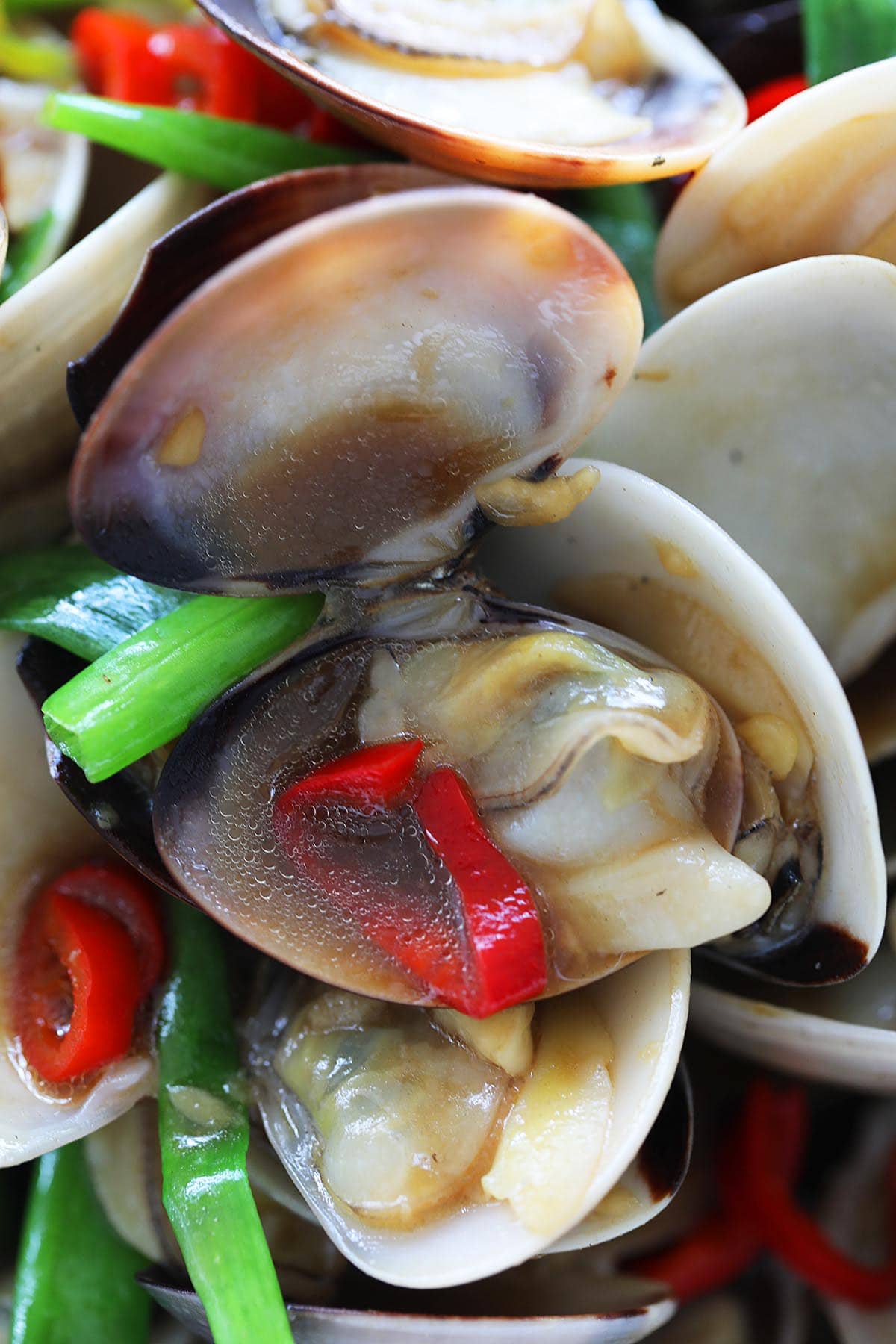 Taiwanese clams with savory sauce, with ginger, garlic and scallions. 