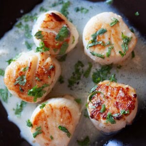 Seared scallops with garlic herb.