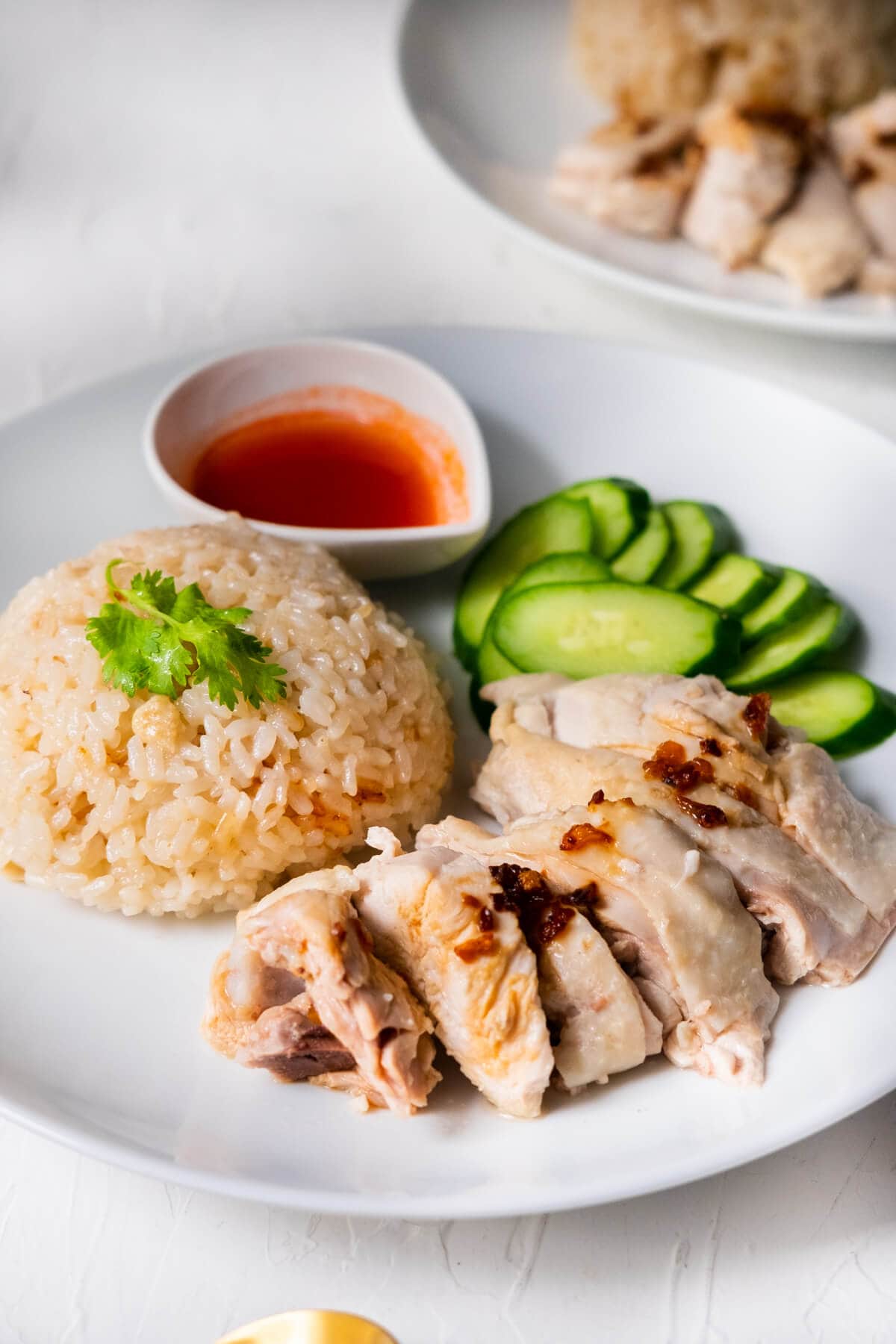 Chicken rice just like the ones at Malaysia and Singapore hawker stalls.