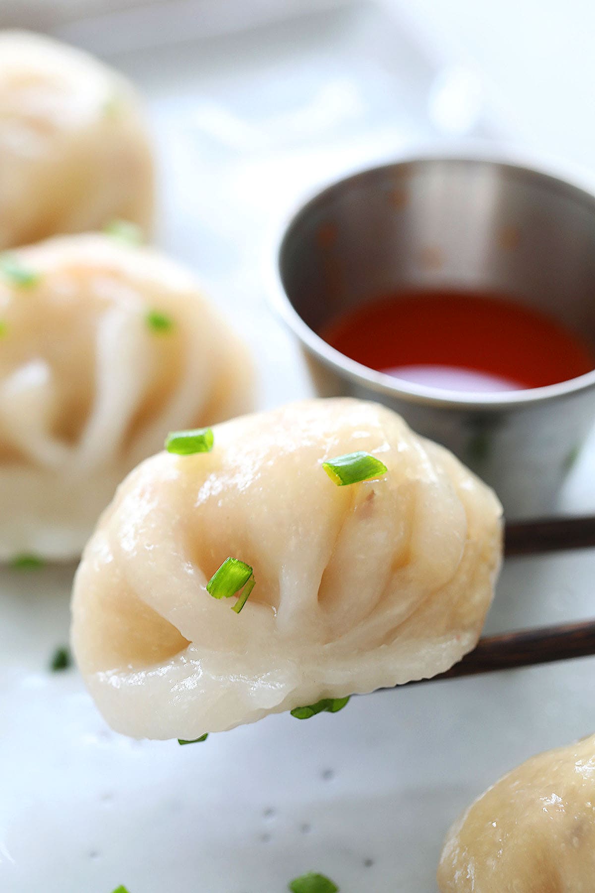 Chai Kueh steamed vegetable dumplings on a plate.