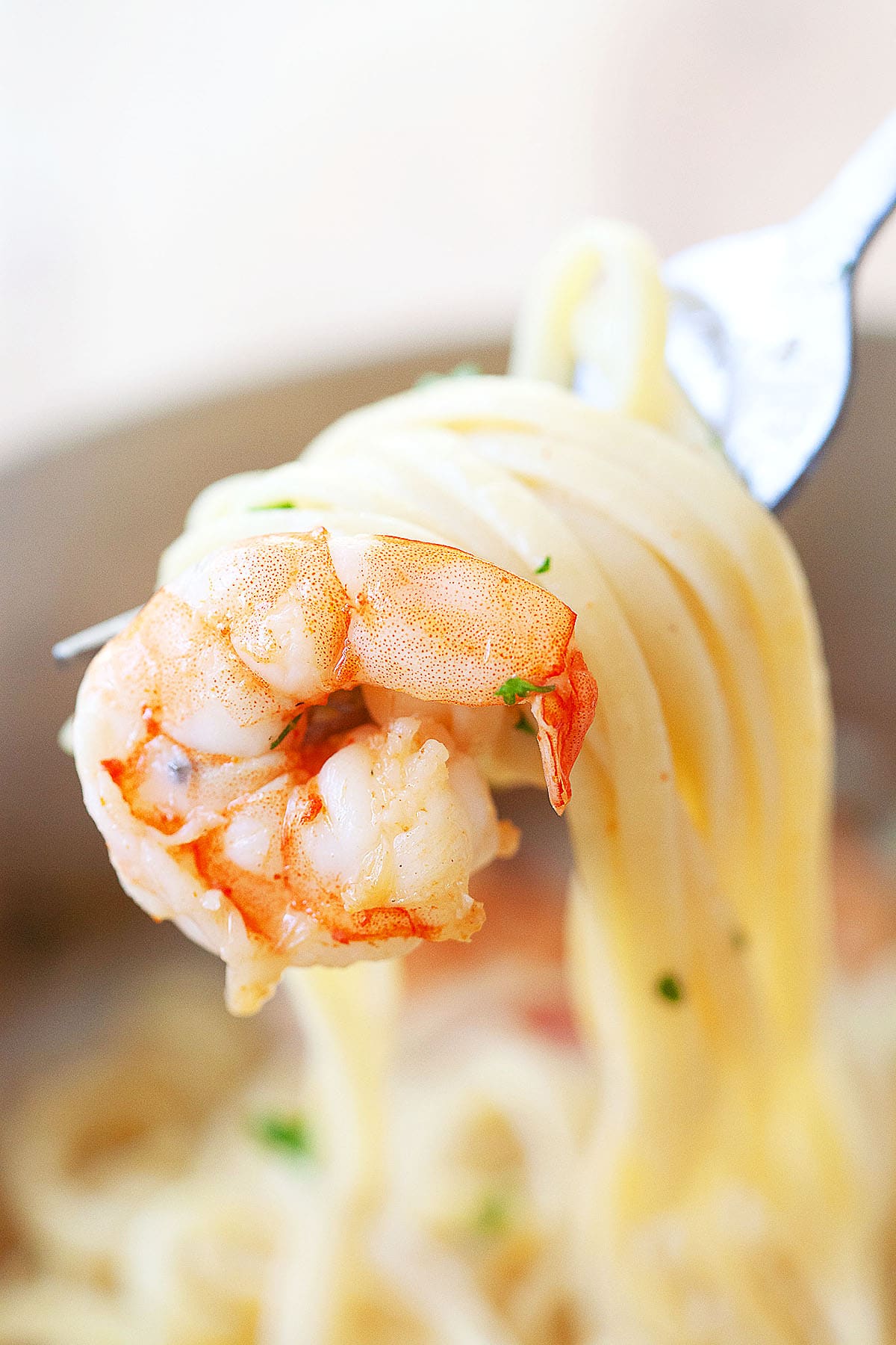 Jumbo shrimp and linguine twirled on a fork, coated in a buttery garlic sauce.