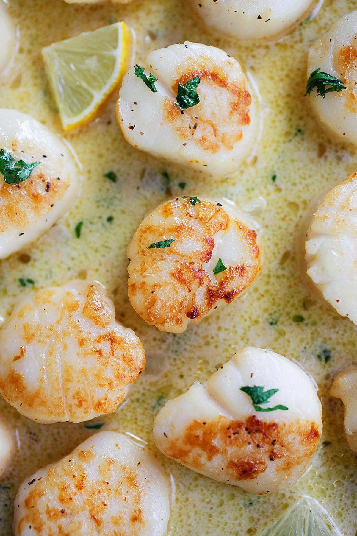 Creamy garlic scallops in a white wine cream sauce, garnished with parsley.