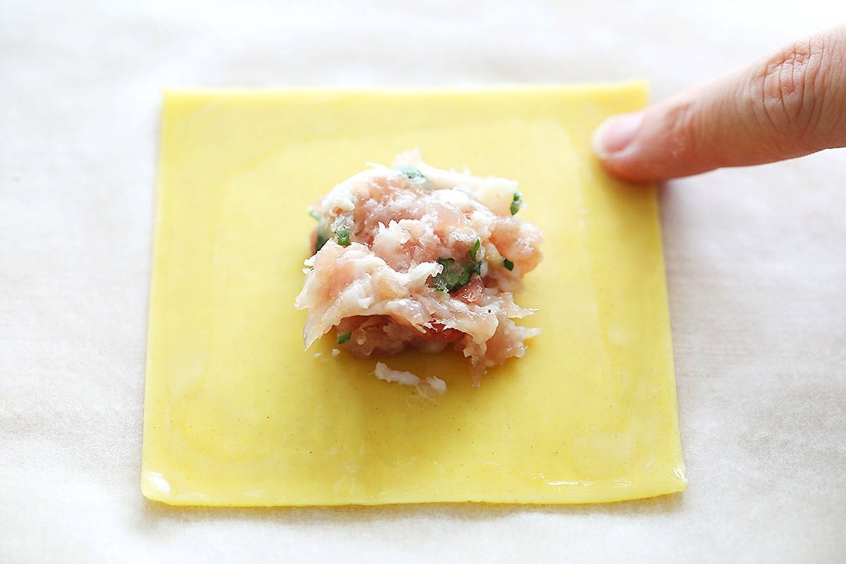 Edge of wonton wrapper moistened with water.