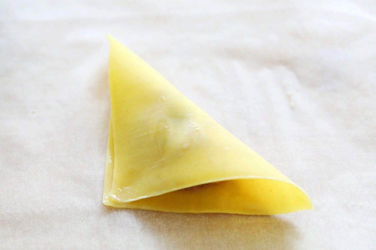 Wonton wrapper folded in half with filling in the center.
