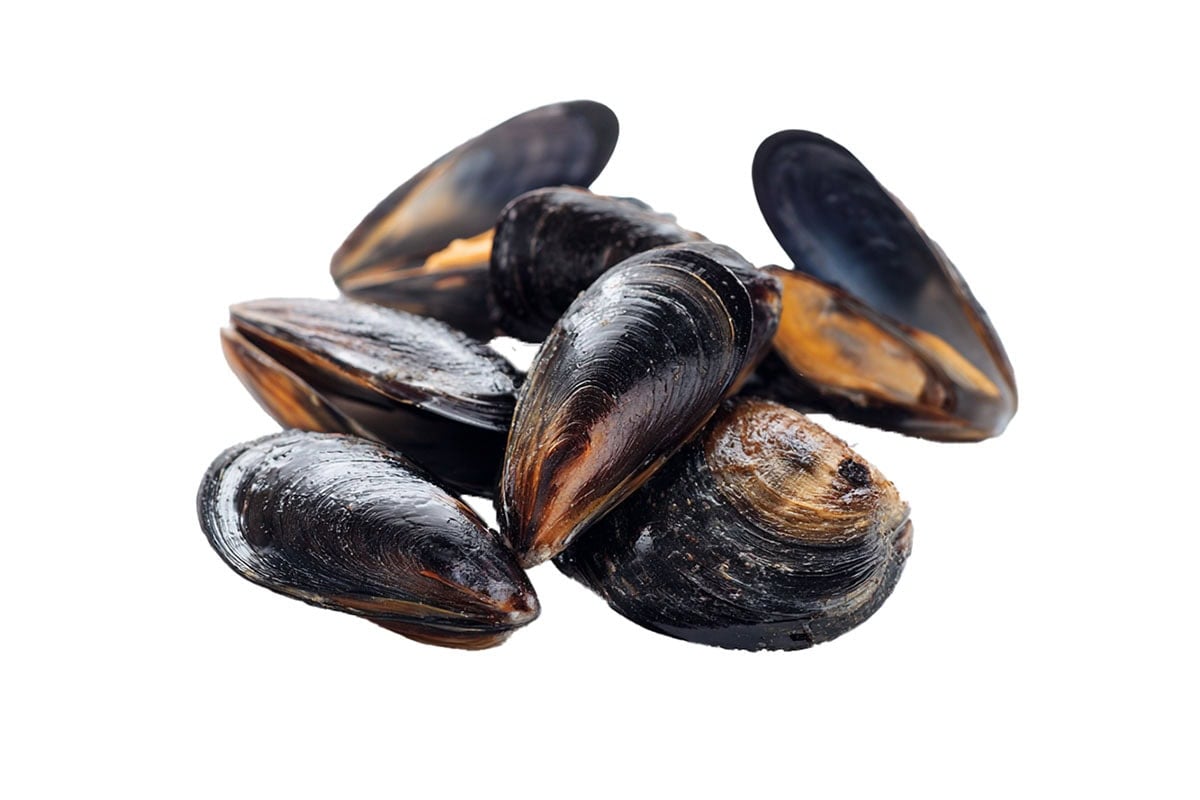 Raw mussels.