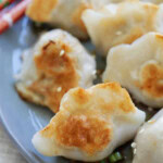 Chinese style pan fried dumplings served on a plate.