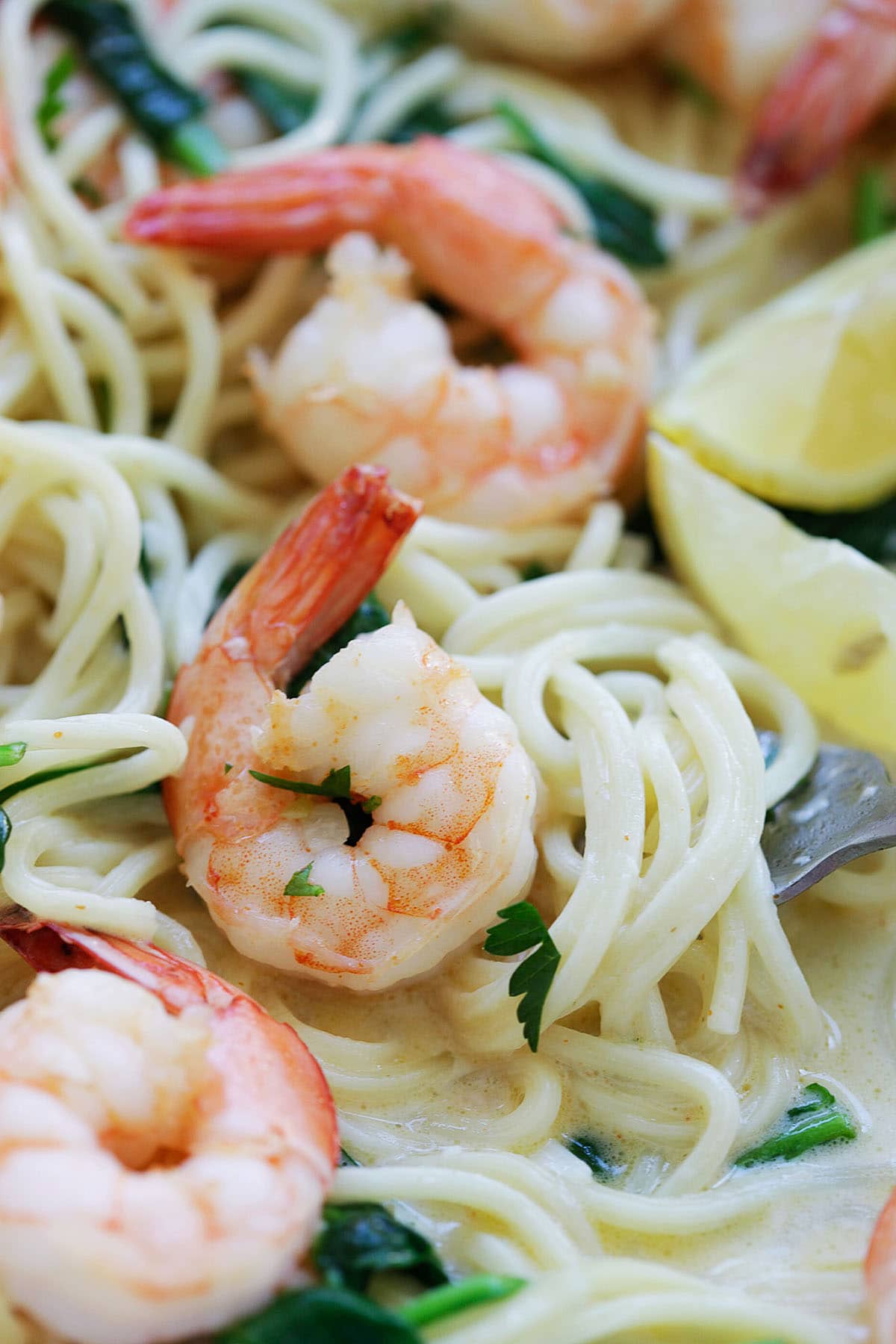 Easy shrimp and spinach pasta recipe with white wine.