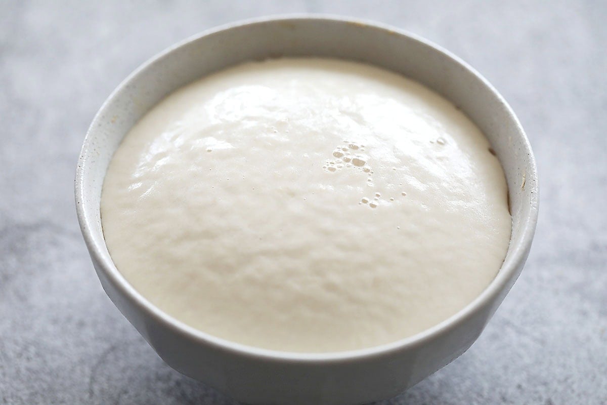 Yeast mixture in a bowl.