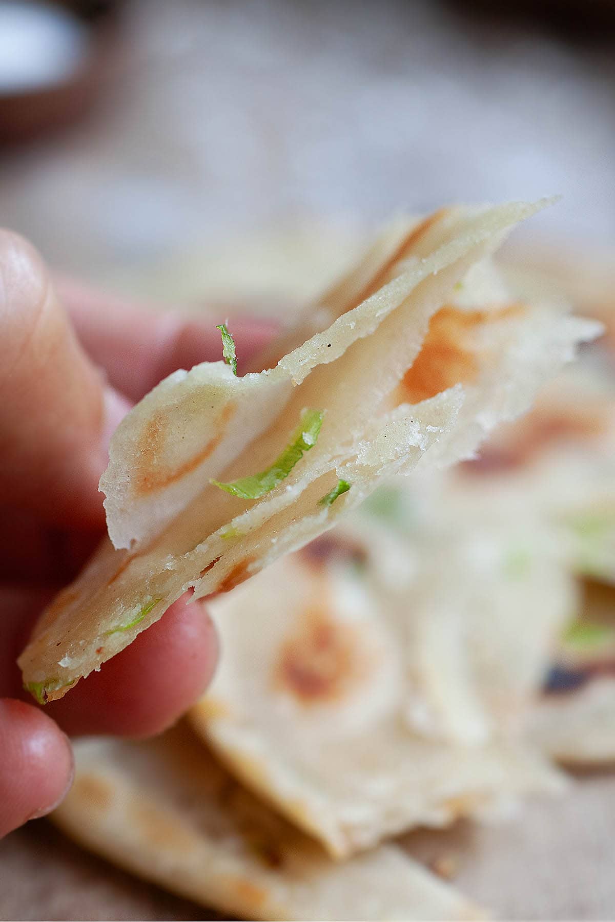 Flaky scallion pancake.