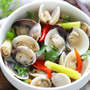 Thai steamed clams garnished with cilantro.