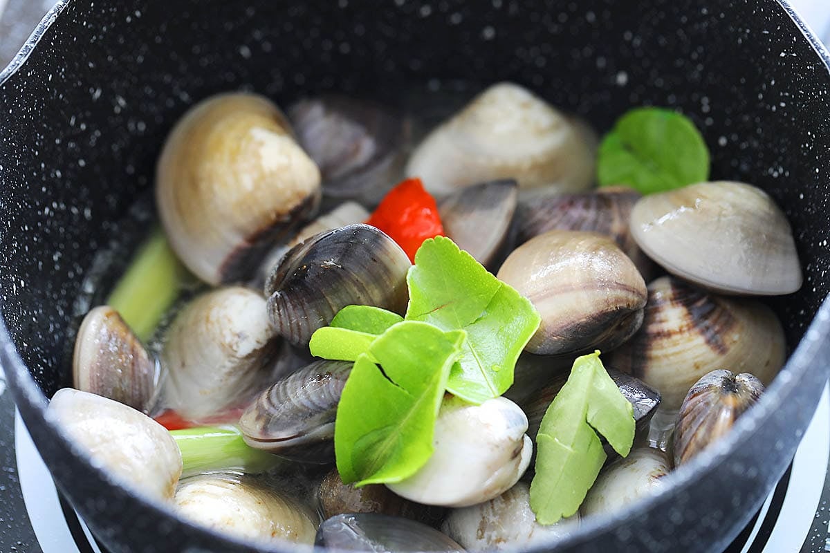Thai style steamed clams in a pot.